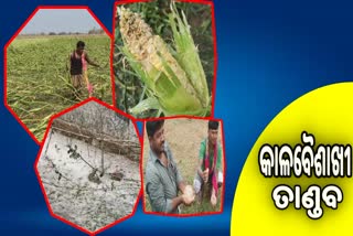 ନବରଙ୍ଗପୁରରେ ତାଣ୍ଡବ ରଚିଛି କାଳବୈଶାଖୀ