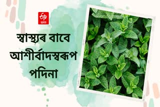 Health Benefits of Mint Leaves That You Should Know