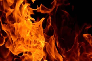 Nagpur: 3 killed, many injured due to fire at MIDC Agro Unit