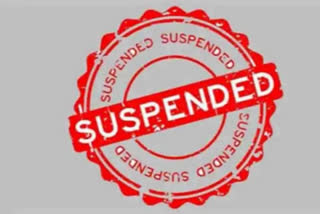 Suspension