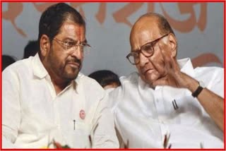 Raju Shetti criticized Sharad Pawar