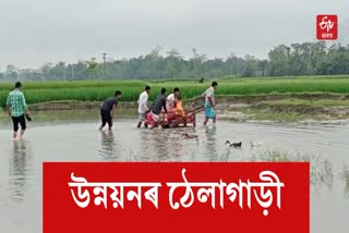 Etv BharatPoor Road Condition at Bongaigaon