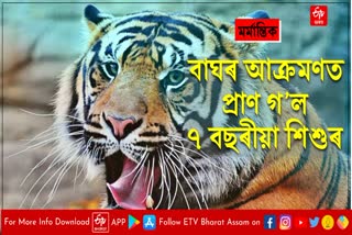 Leopard terror in Namrup