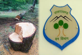 Forest Crime Cases