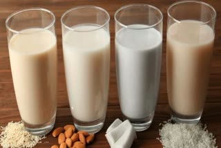 Milk Alternatives News