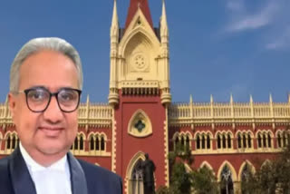 Justice Raja Sekhar Mantha