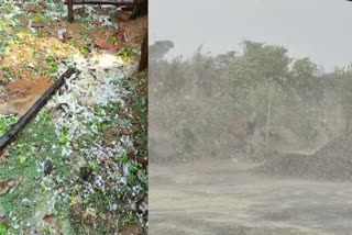 Heavy damage to farmers crops in GPM
