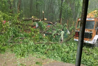 sudden-thundershower-and-rain-with-wind-in-kadaba-taluk