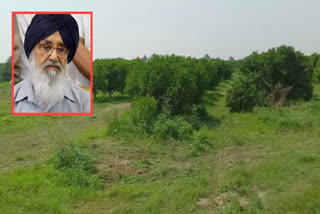 2 acres of land was cleared in Kinnu garden on Bathinda-Badal road for the cremation of Parkash Singh Badal.