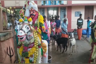 பழனி அருகே சித்திரை திருவிழாவை முன்னிட்டு 300 ஆட்டுக்கிடா வெட்டி கிராம மக்கள் சாமி தரிசனம்!!