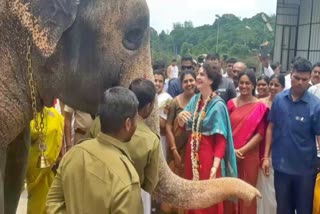 priyanka-gandhi-rally-in-chikkamagalur