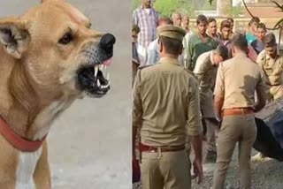 teenager-mauled-to-death-by-stray-dogs-in-kannauj