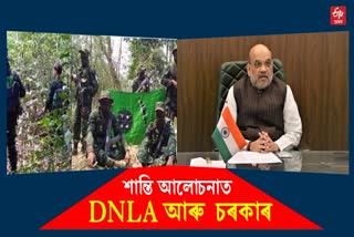 MoU will be signed between DNLA and Government