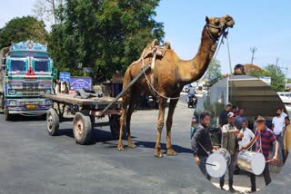 Jamnagar News : માલિક કંટાળીને નગારા સાથે સાંઢીયા ગાડી પાછળ બાંધીને ટ્રકને શો રૂમે લઈ ગયા