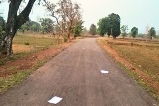 Naxalites threw pamphlets