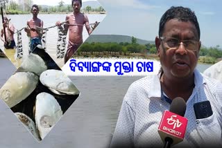 man doing pearl farming in pond