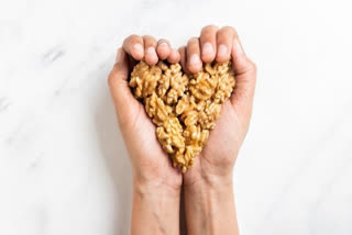 Consuming a handful of walnuts daily improves concentration in teenagers