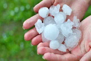 Rains in telangana