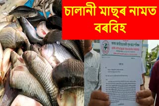 AJYCP leaders submit Memorandum against Formalin Fish in Nalbari