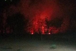 chhatarpur fire caught on bushes