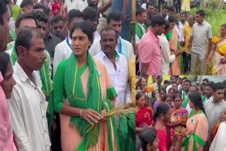 sharmila field visit in jangaon district