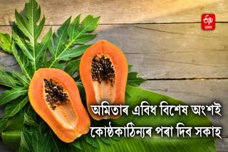 For these reasons, add Papaya Leaves to your diet now