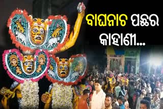 Bagha besha for Berhampur's Maa Bhudhi Thakurani Yatra