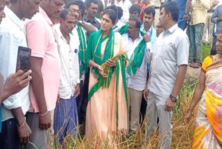 YS Sharmila visited the farmers