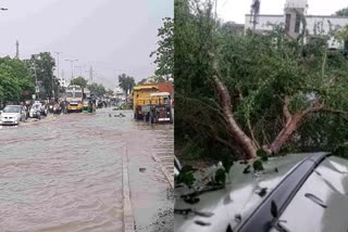 Bhavnagar Unseasonal Rainfall: કમોસમી મેઘમંડાણથી માઠી, પાણી ભરાયા-વાહનો તણાયા
