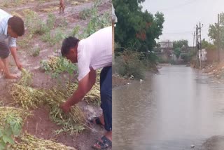 Gujarat Weather Forecast: સતત ચોથા દિવસે પણ કમોસમી વરસાદ,ખેડૂતોના ચિંતામાં વધારો