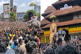 thechikottukavu ramachandran presence  thrissur pooram  തെച്ചിക്കോട്ടുകാവ് രാമചന്ദ്രൻ  തെച്ചിക്കോട്ടുകാവ് രാമചന്ദ്രൻ പൂരനഗരിയില്‍