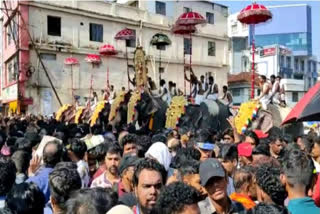 Devotees gather at Thrissur Pooram festival ground.