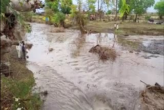 heavy rain with thunderstorm in dewas