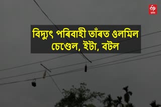 Poor electricity department condition at Naharkatia