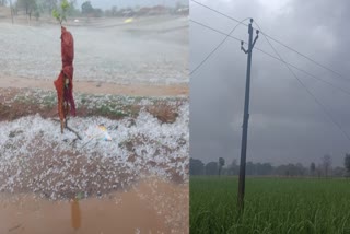 heavy rain and hailstorm in amla