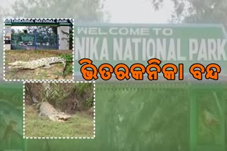 Bhitarkanika to remain closed for visitors