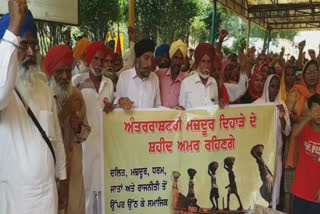 Mazdoor Mukti Morcha protested against the Punjab government on Labor Day in Mansa