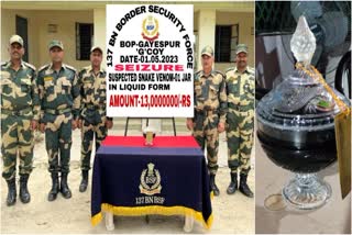 BSF seized with snake venom