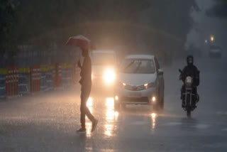 kerala summer rain updates  kerala rain updates  kerala weather updates  കേന്ദ്ര കാലാവസ്ഥ വകുപ്പ്  Central Meteorological Department  കേരളത്തില്‍ യെല്ലോ അലേര്‍ട്ട്  യെല്ലോ അലേർട്ട്  കേരള കാലാവസ്ഥ  കേരളത്തിലെ മഴ മുന്നറിയിപ്പ്  കേന്ദ്ര കാലാവസ്ഥ വകുപ്പ്