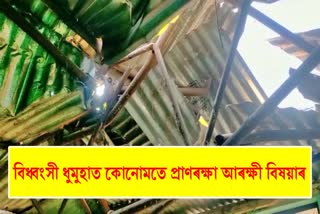 Nalbari Daulasal storm news