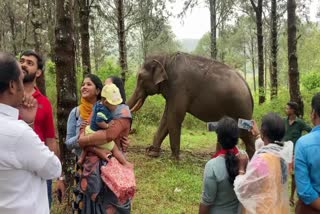 Mission Arikkomban  Chinnakanal natives  natives express heartfelt gratitude  Kumki Elephants  Arikkomban  അരിക്കൊമ്പന്‍ മിഷനില്‍ ഭാഗമായ കുങ്കിയാനകള്‍  കുങ്കിയാനകള്‍  അരിക്കൊമ്പന്‍  പാപ്പാന്‍മാരെ ആദരിച്ചും  ചിന്നക്കനാലുകാരുടെ ആഘോഷം  ചിന്നക്കനാല്‍  ശാന്തന്‍പാറ  ആന