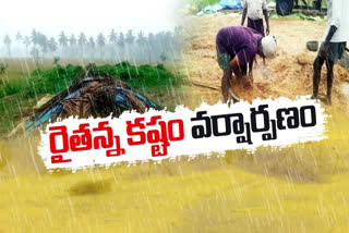 Crop Loss in Krishna District