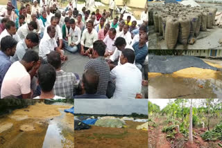 Farmers Protest