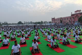 Yoga Festival in Jaipur