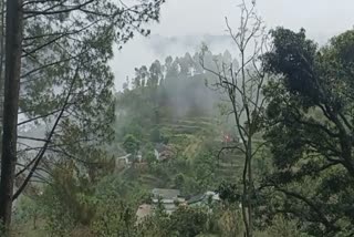 बेमौसम बरसात ने बुझाई जंगलों की आग