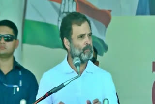 Rahul Gandhis swipe at PM