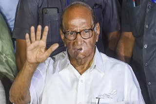 ncp-chief-sharad-pawar-to-step-down-as-party-president-reaction-on-sharad-pawar-decision