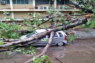 heavy rains in rewari