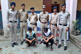 sex racket in baddi solan