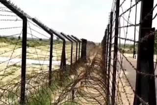 bsf-killed-two-pakistani-infiltrators-at-barmerwala-check-post-in-rajasthan